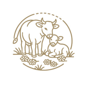 Abbildung Icon Ammenkuhhaltung mit einer liebenden Kuh und ihrem Kalb