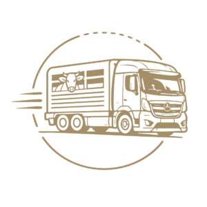Abbildung Viehtransport mit dem eigenen LKW
